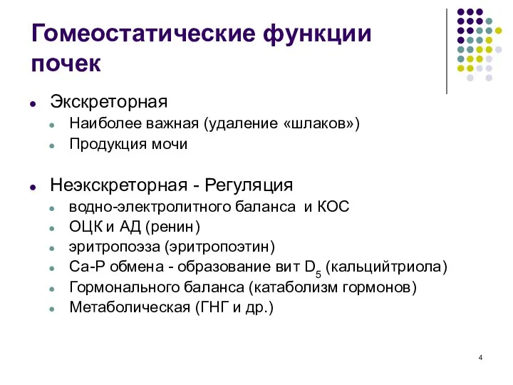 Гомеостатические функции почек Экскреторная Наиболее важная (удаление «шлаков») Продукция мочи Неэкскреторная