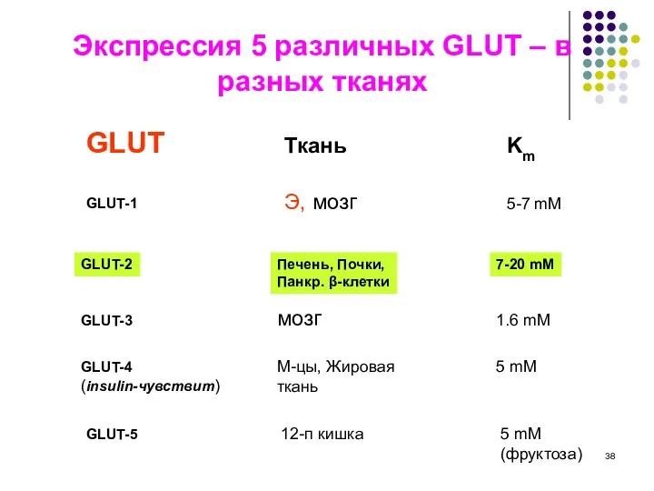 Экспрессия 5 различных GLUT – в разных тканях