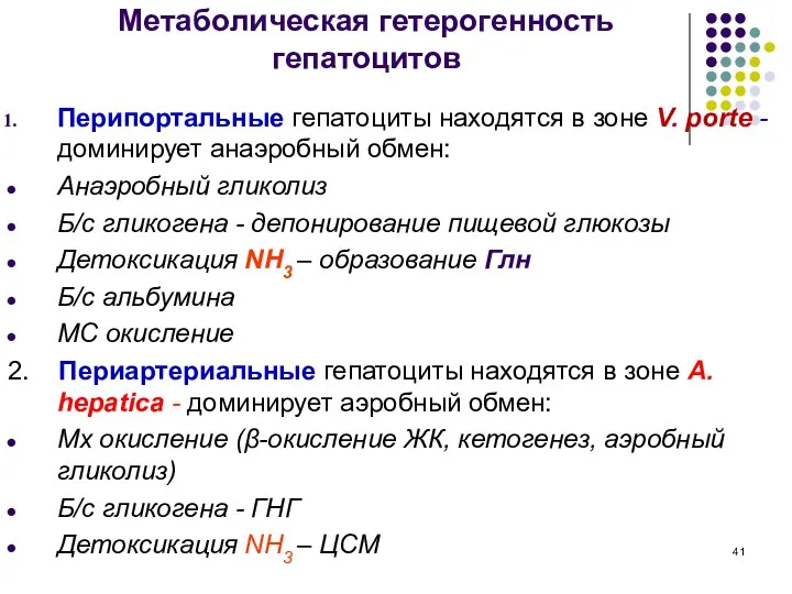 Метаболическая гетерогенность гепатоцитов Перипортальные гепатоциты находятся в зоне V. porte -