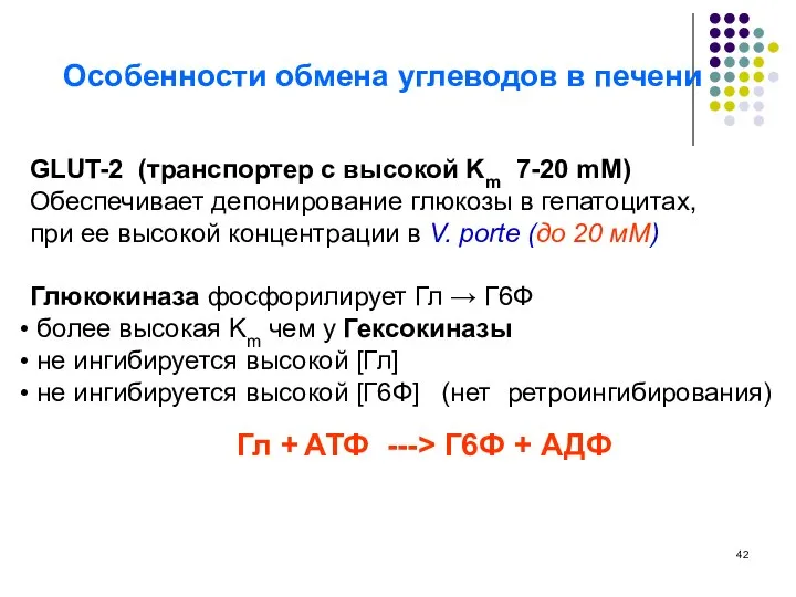 Особенности обмена углеводов в печени GLUT-2 (транспортер с высокой Km 7-20