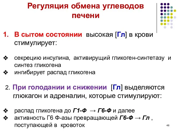 В сытом состоянии высокая [Гл] в крови стимулирует: секрецию инсулина, активирущий