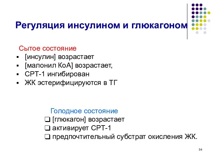 Регуляция инсулином и глюкагоном Сытое состояние [инсулин] возрастает [малонил КоА] возрастает,