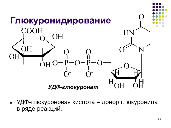 Глюкуронидирование УДФ-глюкуроновая кислота – донор глюкуронила в ряде реакций. УДФ-глюкуронат