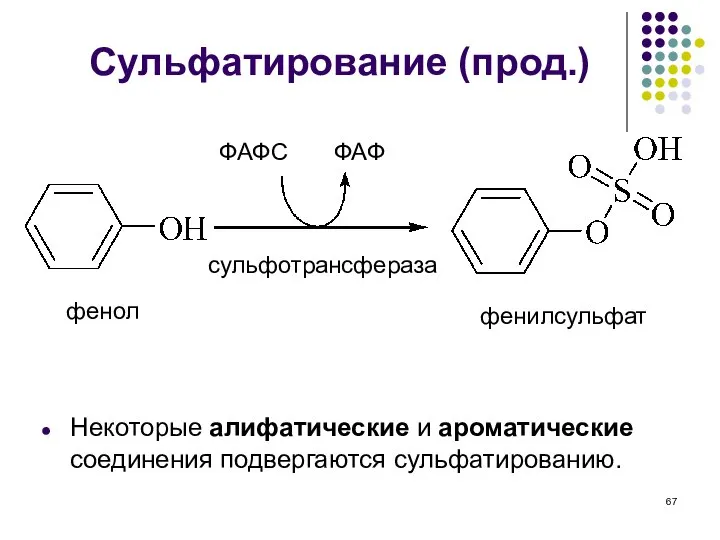 Сульфатирование (прод.) Некоторые алифатические и ароматические соединения подвергаются сульфатированию. фенол фенилсульфат ФАФС ФАФ сульфотрансфераза