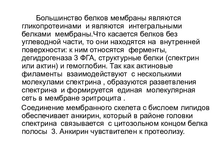 Большинство белков мембраны являются гликопротеинами и являются интегральными белками мембраны.Что касается