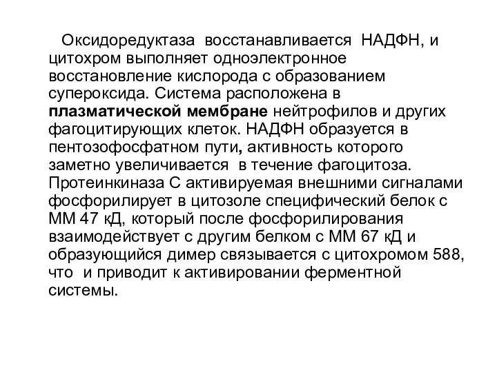 Оксидоредуктаза восстанавливается НАДФН, и цитохром выполняет одноэлектронное восстановление кислорода с образованием