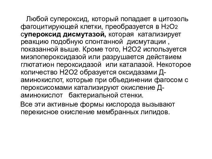 Любой супероксид, который попадает в цитозоль фагоцитирующей клетки, преобразуется в H2O2