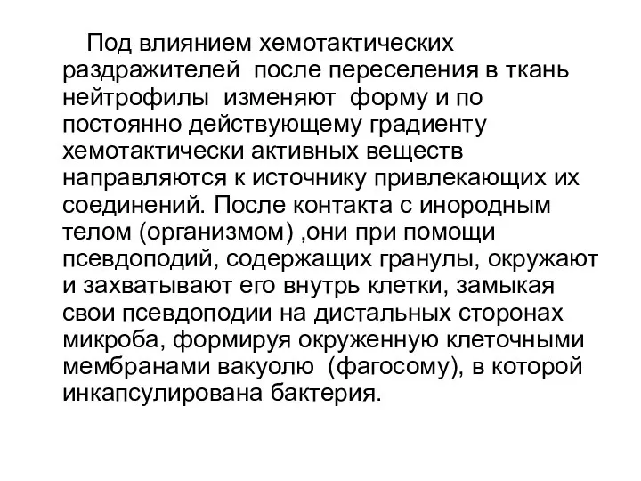 Под влиянием хемотактических раздражителей после переселения в ткань нейтрофилы изменяют форму