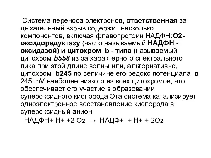 Система переноса электронов, ответственная за дыхательный взрыв содержит несколько компонентов, включая