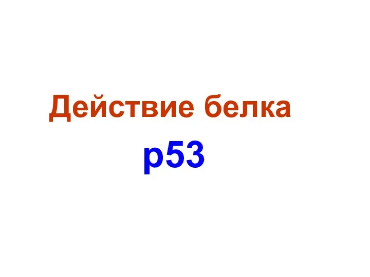 Действие белка р53