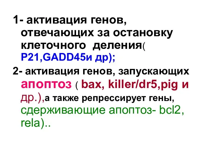 1- активация генов, отвечающих за остановку клеточного деления( Р21,GADD45и др); 2-