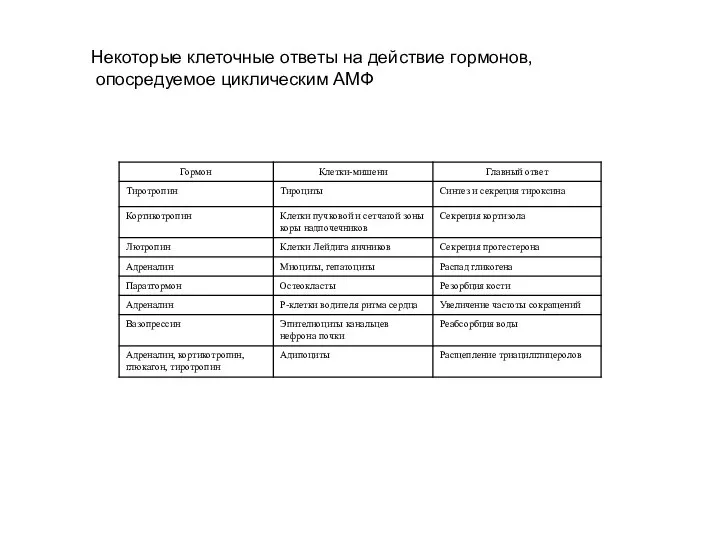 Некоторые клеточные ответы на действие гормонов, опосредуемое циклическим АМФ