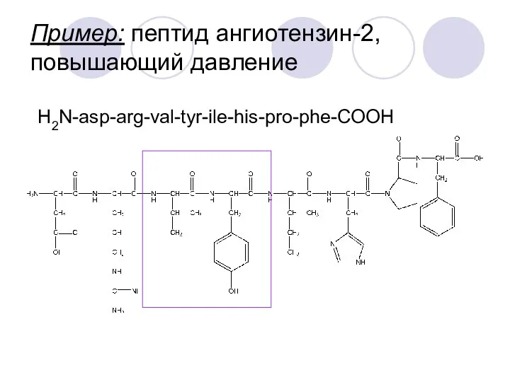 Пример: пептид ангиотензин-2, повышающий давление H2N-asp-arg-val-tyr-ile-his-pro-phe-COOH