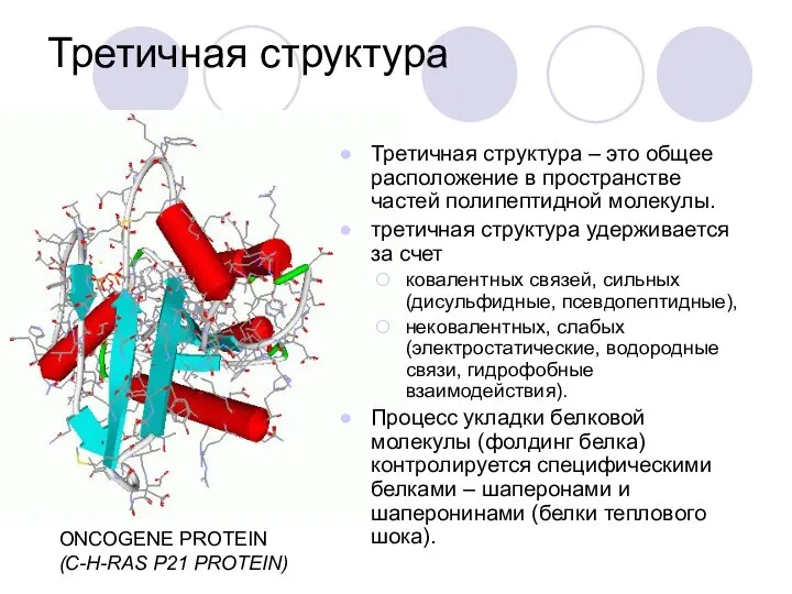 Третичная структура Третичная структура – это общее расположение в пространстве частей