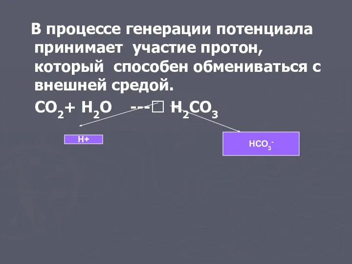 В процессе генерации потенциала принимает участие протон, который способен обмениваться с