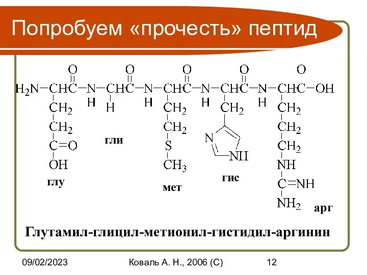 09/02/2023 Коваль А. Н., 2006 (C) Попробуем «прочесть» пептид глу гли мет гис арг Глутамил-глицил-метионил-гистидил-аргинин