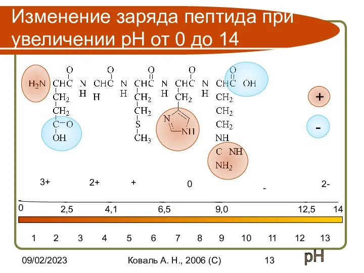 09/02/2023 Коваль А. Н., 2006 (C) Изменение заряда пептида при увеличении