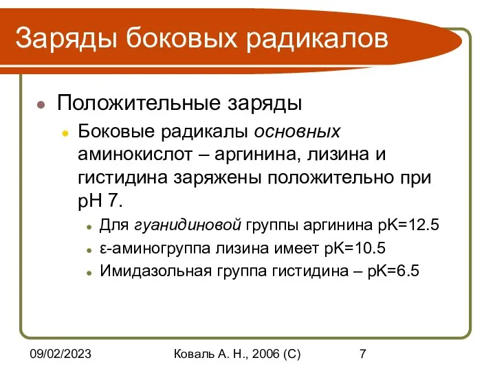 09/02/2023 Коваль А. Н., 2006 (C) Заряды боковых радикалов Положительные заряды