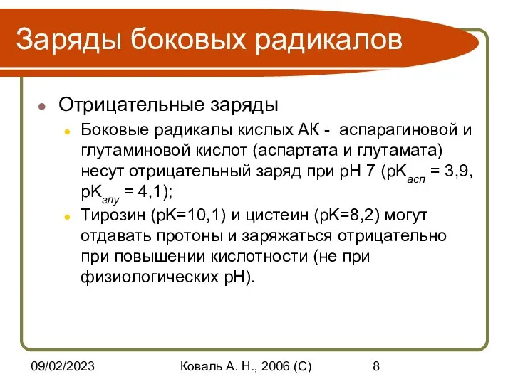 09/02/2023 Коваль А. Н., 2006 (C) Заряды боковых радикалов Отрицательные заряды