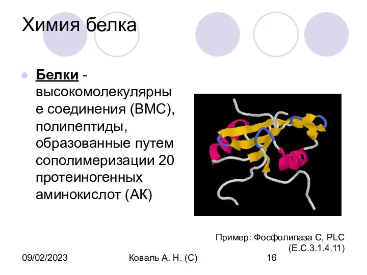 09/02/2023 Коваль А. Н. (С) Химия белка Белки - высокомолекулярные соединения