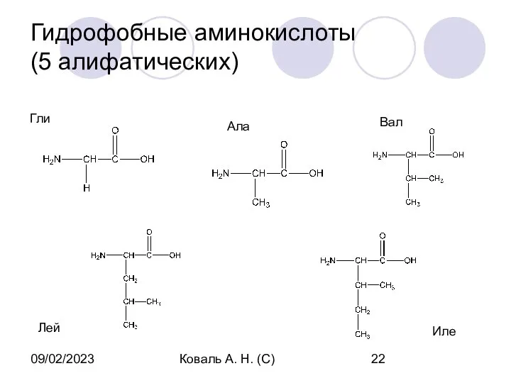 09/02/2023 Коваль А. Н. (С) Гидрофобные аминокислоты (5 алифатических) Гли Ала Вал Лей Иле