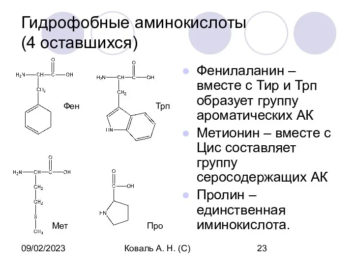 09/02/2023 Коваль А. Н. (С) Гидрофобные аминокислоты (4 оставшихся) Фенилаланин –