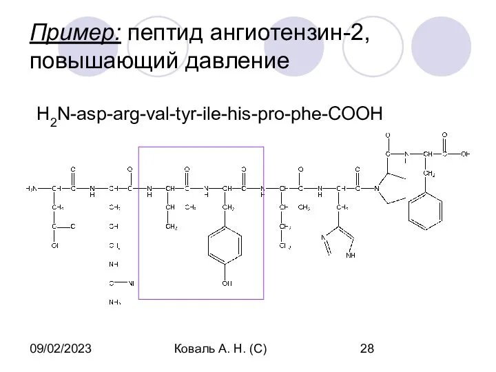 09/02/2023 Коваль А. Н. (С) Пример: пептид ангиотензин-2, повышающий давление H2N-asp-arg-val-tyr-ile-his-pro-phe-COOH