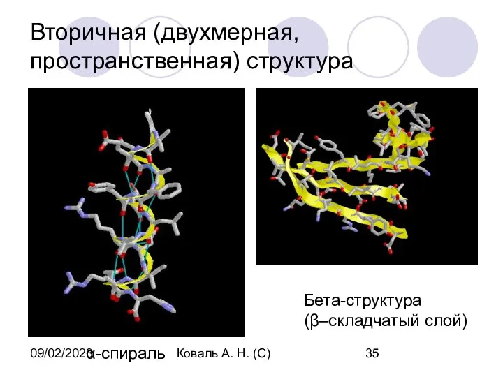 09/02/2023 Коваль А. Н. (С) Вторичная (двухмерная, пространственная) структура α-спираль Бета-структура (β–складчатый слой)