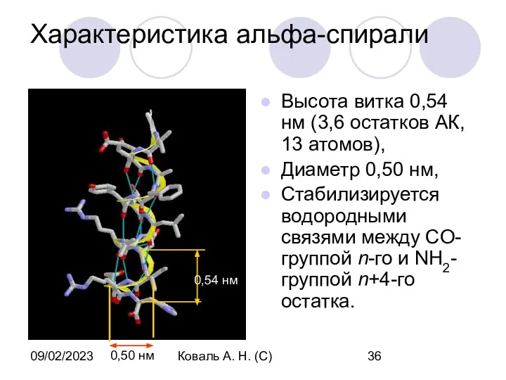 09/02/2023 Коваль А. Н. (С) Характеристика альфа-спирали Высота витка 0,54 нм