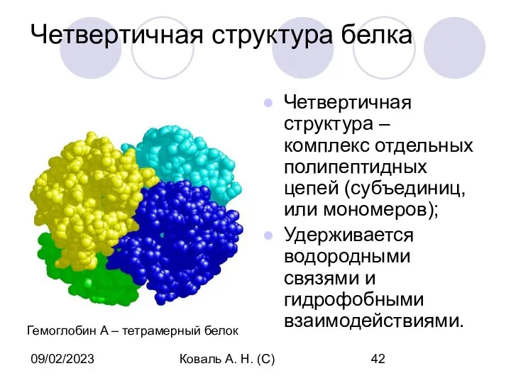 09/02/2023 Коваль А. Н. (С) Четвертичная структура белка Четвертичная структура –