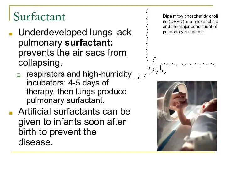 Surfactant Underdeveloped lungs lack pulmonary surfactant: prevents the air sacs from