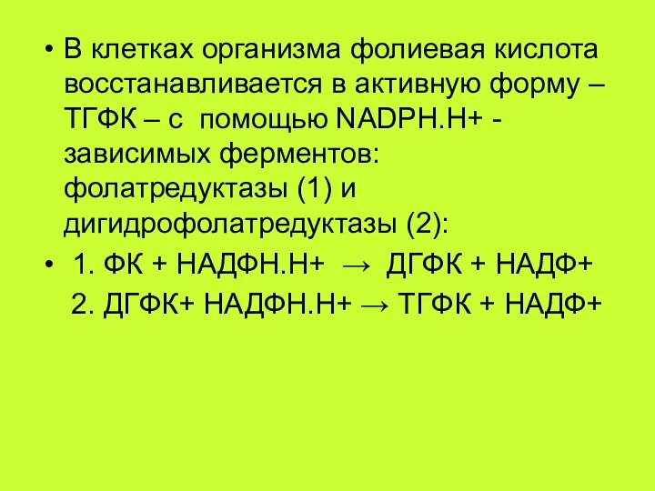 В клетках организма фолиевая кислота восстанавливается в активную форму – ТГФК