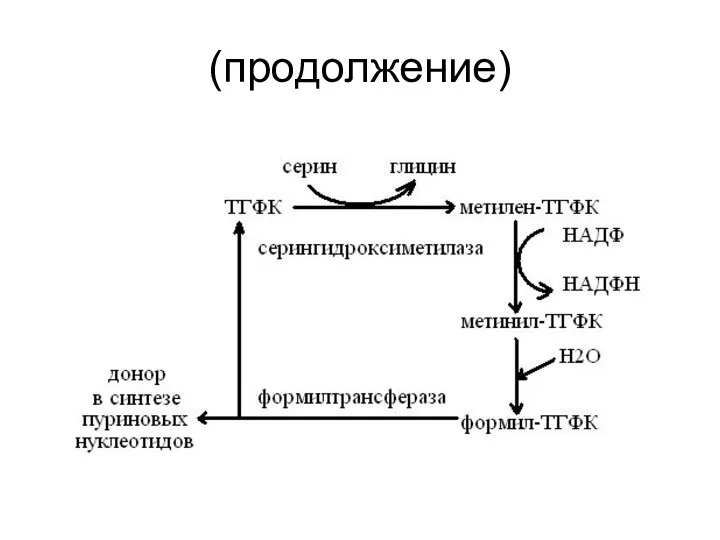 (продолжение)