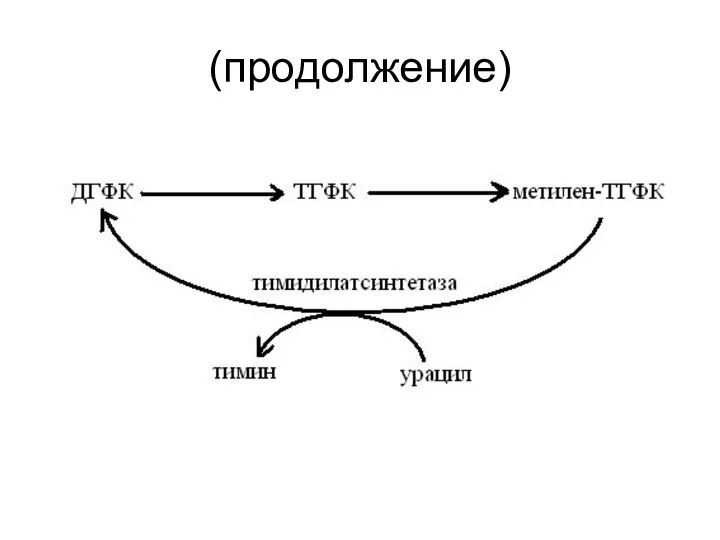 (продолжение)