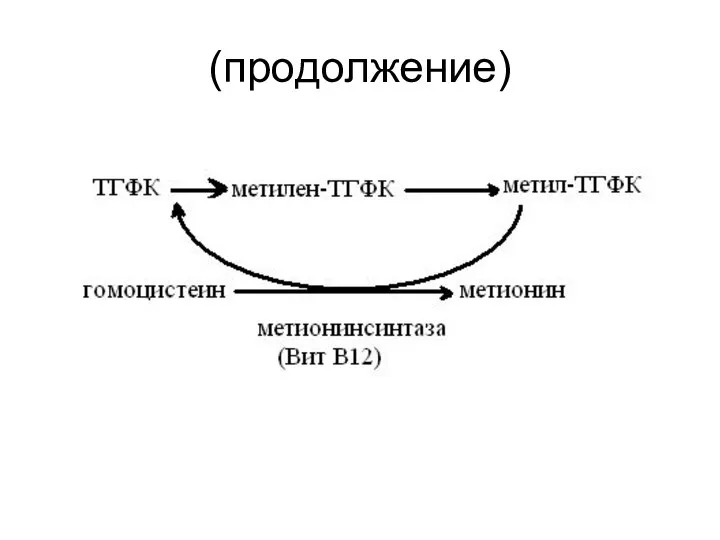 (продолжение)