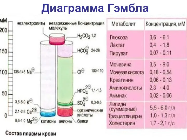 Диаграмма Гэмбла