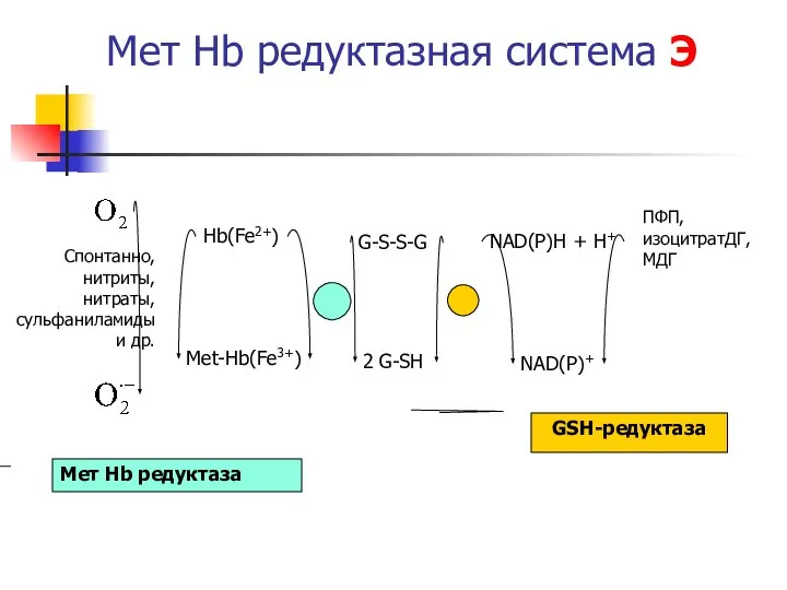 Мет Hb редуктазная система Э Hb(Fe2+) Met-Hb(Fe3+) 2 G-SH G-S-S-G NAD(P)H