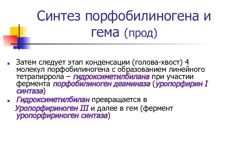 Синтез порфобилиногена и гема (прод) Затем следует этап конденсации (голова-хвост) 4