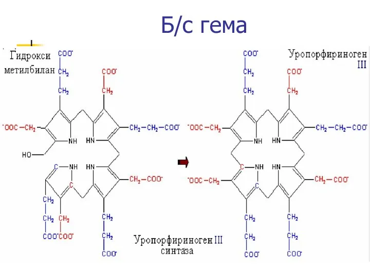 Б/с гема