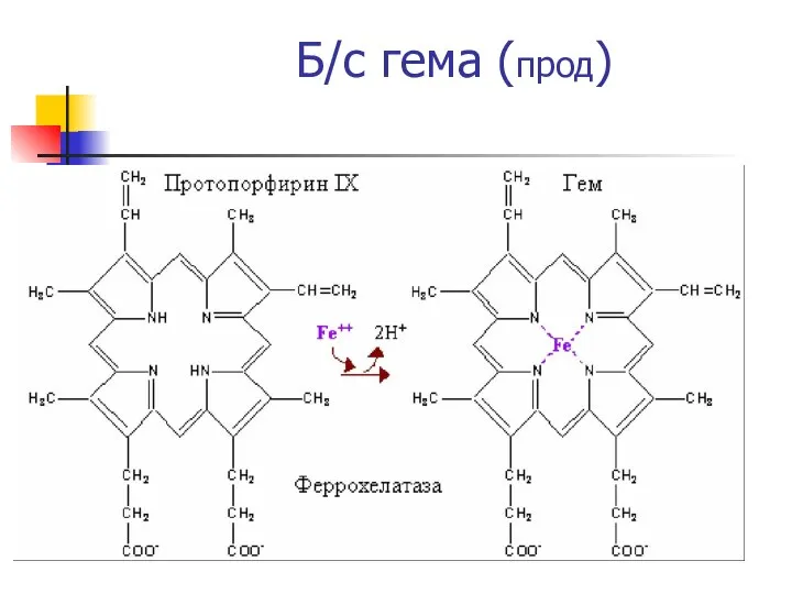 Б/с гема (прод)