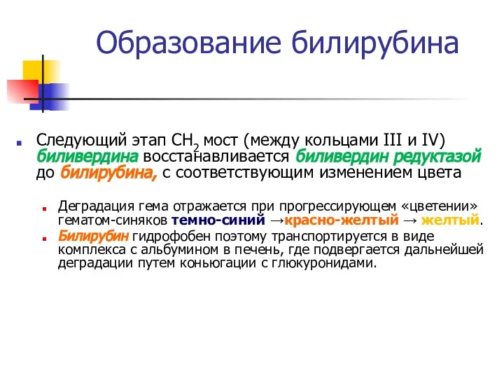 Образование билирубина Следующий этап СН2 мост (между кольцами III и IV)