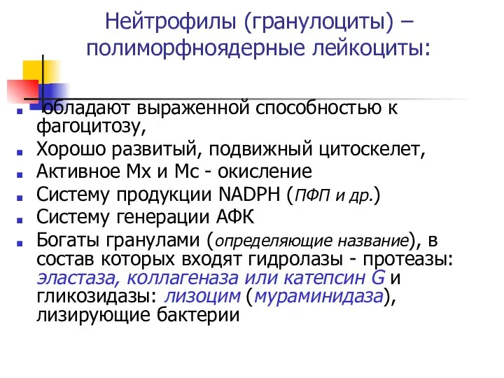 Нейтрофилы (гранулоциты) –полиморфноядерные лейкоциты: обладают выраженной способностью к фагоцитозу, Хорошо развитый,