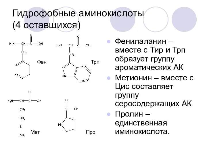 Гидрофобные аминокислоты (4 оставшихся) Фенилаланин – вместе с Тир и Трп