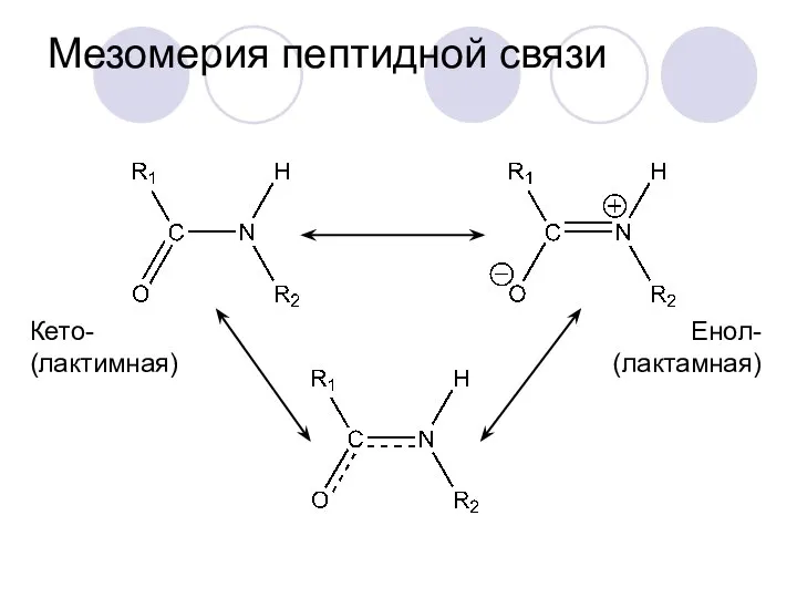 Мезомерия пептидной связи Кето- (лактимная) Енол- (лактамная)