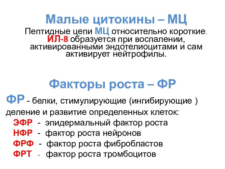 Малые цитокины – МЦ Пептидные цепи МЦ относительно короткие. ИЛ-8 образуется