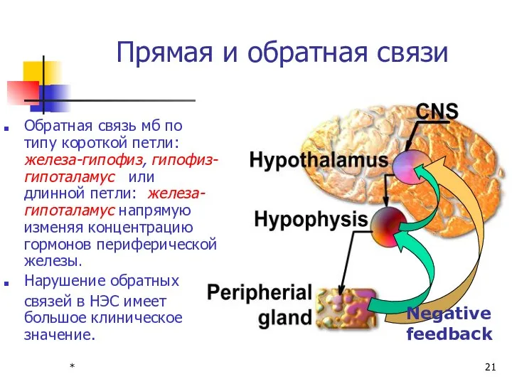 * Прямая и обратная связи Обратная связь мб по типу короткой