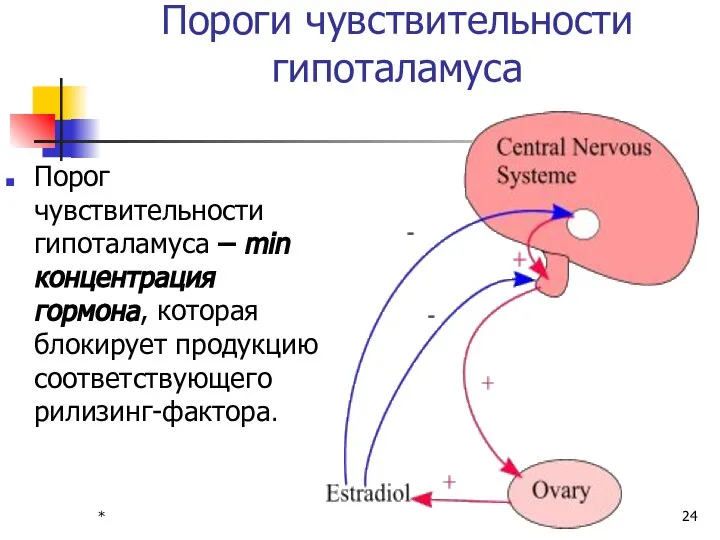 * Пороги чувствительности гипоталамуса Порог чувствительности гипоталамуса – min концентрация гормона, которая блокирует продукцию соответствующего рилизинг-фактора.