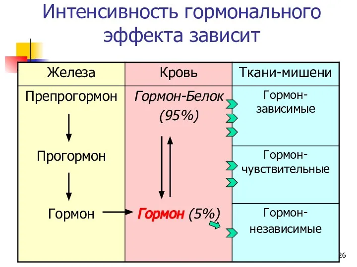 * Интенсивность гормонального эффекта зависит