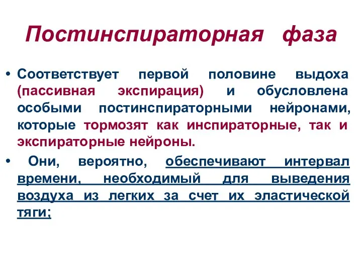 Постинспираторная фаза Соответствует первой половине выдоха (пассивная экспирация) и обусловлена особыми