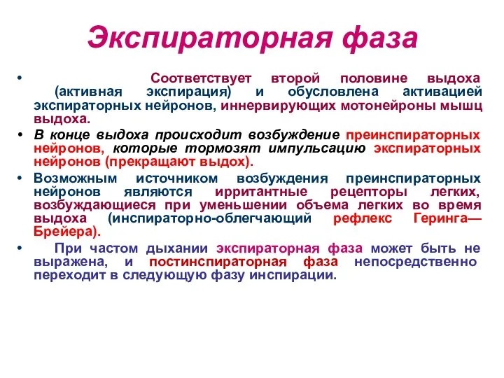 Экспираторная фаза Соответствует второй половине выдоха (активная экспирация) и обусловлена активацией